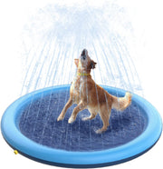 🐕🎉 Doggy Water Park at Home – Beat the Heat with Splash Time Fun!