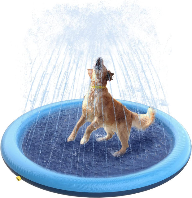 🐕🎉 Doggy Water Park at Home – Beat the Heat with Splash Time Fun!