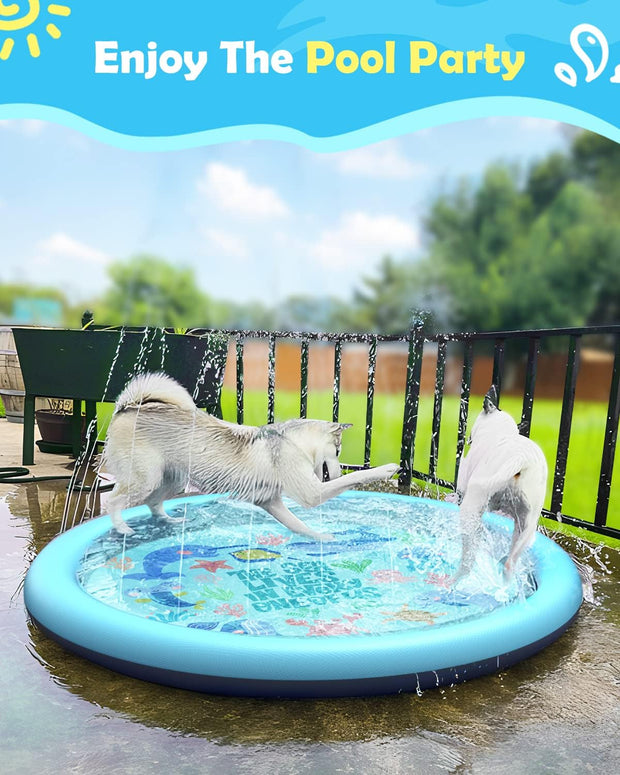 🐕🎉 Doggy Water Park at Home – Beat the Heat with Splash Time Fun!