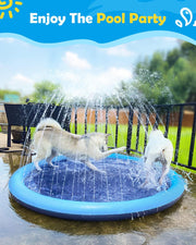 🐕🎉 Doggy Water Park at Home – Beat the Heat with Splash Time Fun!