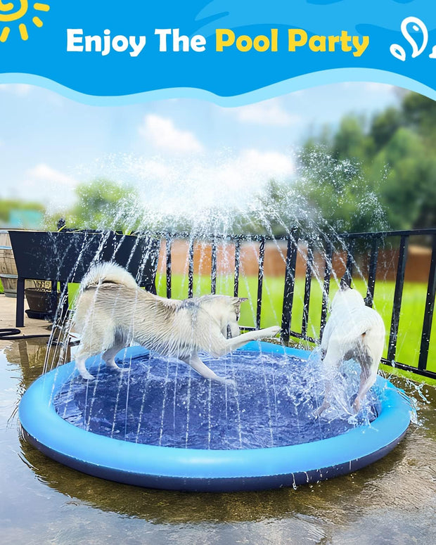 🐕🎉 Doggy Water Park at Home – Beat the Heat with Splash Time Fun!