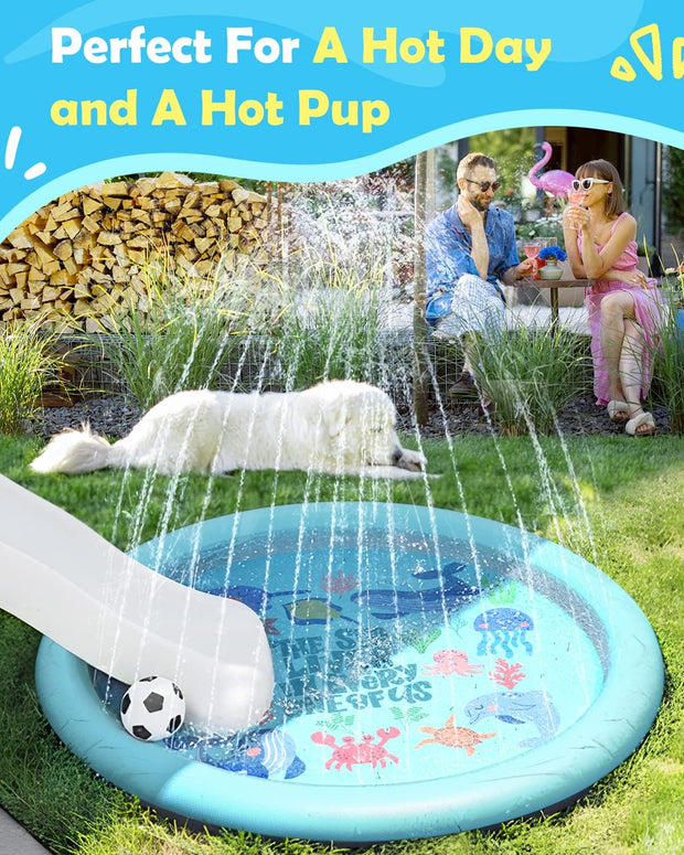 🐕🎉 Doggy Water Park at Home – Beat the Heat with Splash Time Fun!