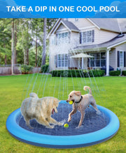 🐕🎉 Doggy Water Park at Home – Beat the Heat with Splash Time Fun!