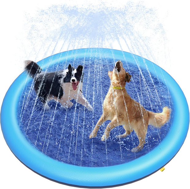 🐕🎉 Doggy Water Park at Home – Beat the Heat with Splash Time Fun!