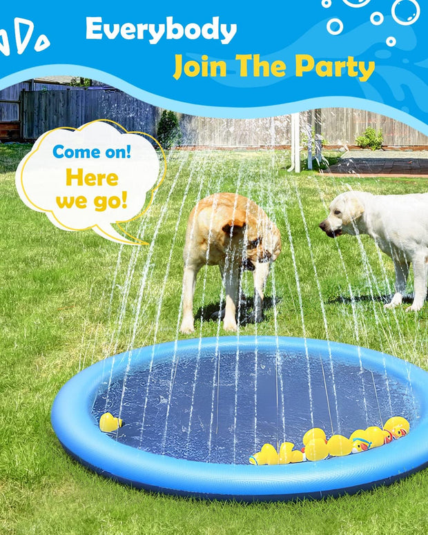 🐕🎉 Doggy Water Park at Home – Beat the Heat with Splash Time Fun!