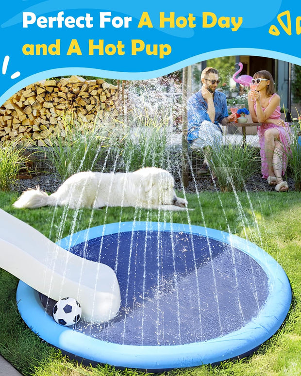 🐕🎉 Doggy Water Park at Home – Beat the Heat with Splash Time Fun!