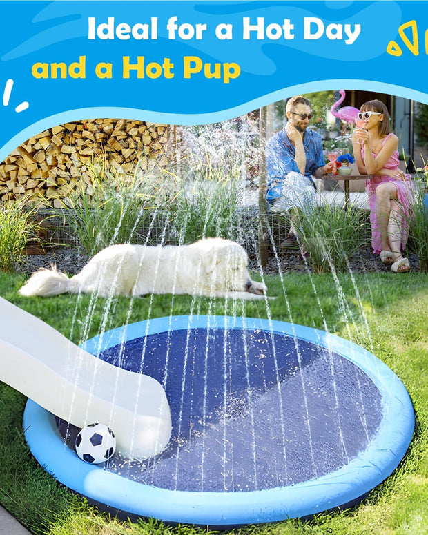 🐕🎉 Doggy Water Park at Home – Beat the Heat with Splash Time Fun!